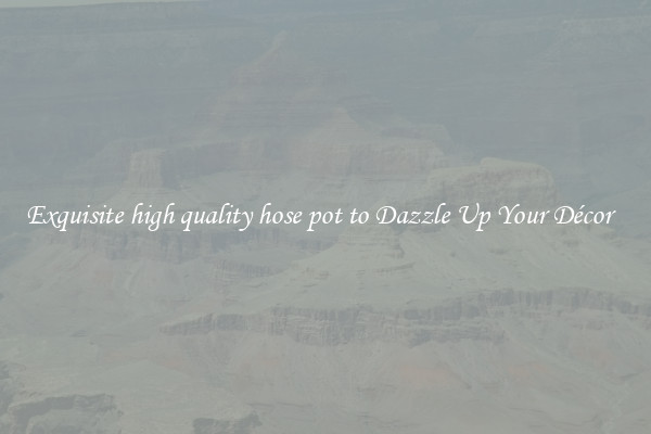 Exquisite high quality hose pot to Dazzle Up Your Décor  