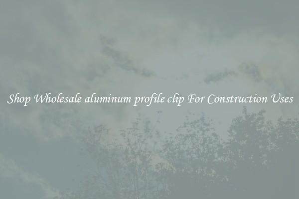 Shop Wholesale aluminum profile clip For Construction Uses