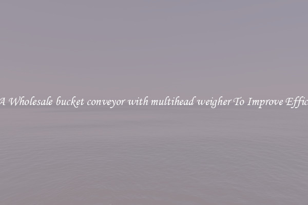 Get A Wholesale bucket conveyor with multihead weigher To Improve Efficiency