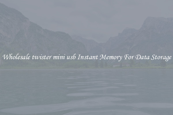 Wholesale twister mini usb Instant Memory For Data Storage