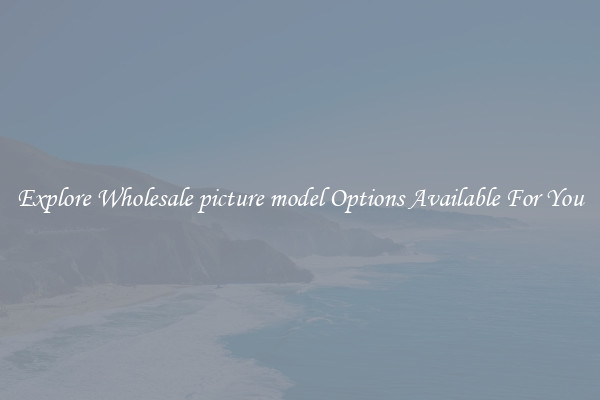 Explore Wholesale picture model Options Available For You