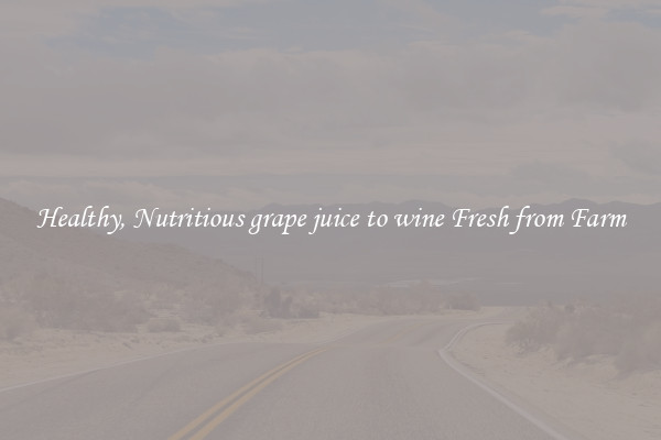 Healthy, Nutritious grape juice to wine Fresh from Farm