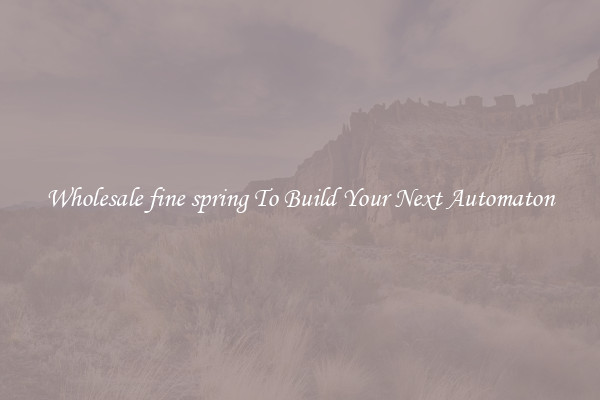 Wholesale fine spring To Build Your Next Automaton