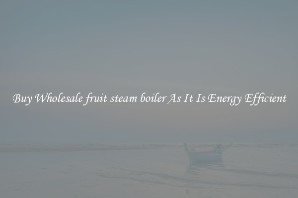 Buy Wholesale fruit steam boiler As It Is Energy Efficient