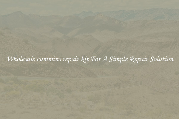 Wholesale cummins repair kit For A Simple Repair Solution