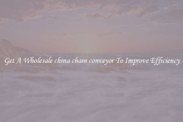 Get A Wholesale china chain conveyor To Improve Efficiency