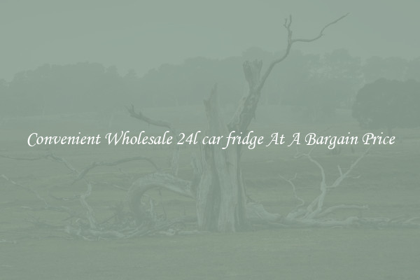 Convenient Wholesale 24l car fridge At A Bargain Price