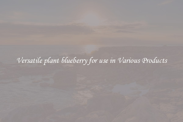 Versatile plant blueberry for use in Various Products