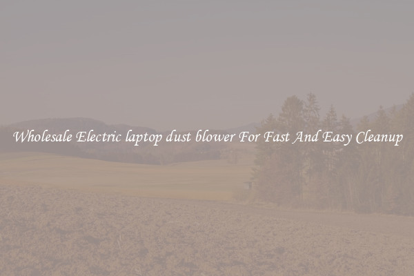 Wholesale Electric laptop dust blower For Fast And Easy Cleanup