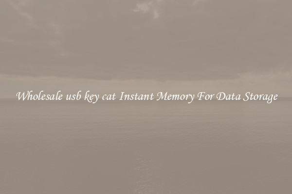 Wholesale usb key cat Instant Memory For Data Storage