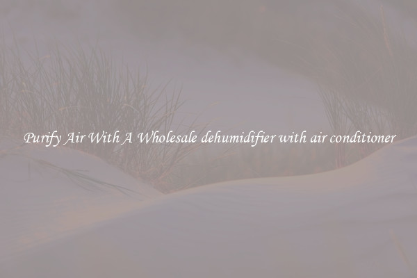 Purify Air With A Wholesale dehumidifier with air conditioner