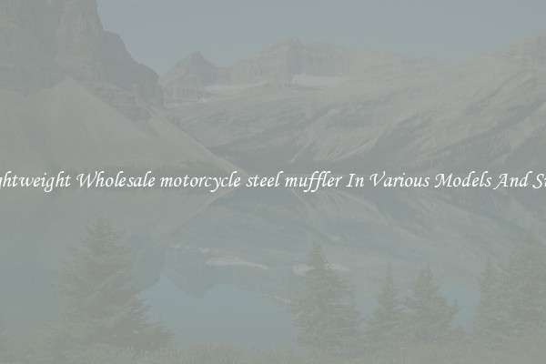 Lightweight Wholesale motorcycle steel muffler In Various Models And Sizes