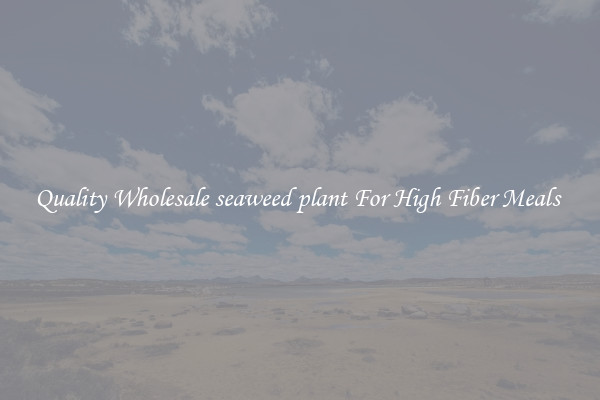 Quality Wholesale seaweed plant For High Fiber Meals 