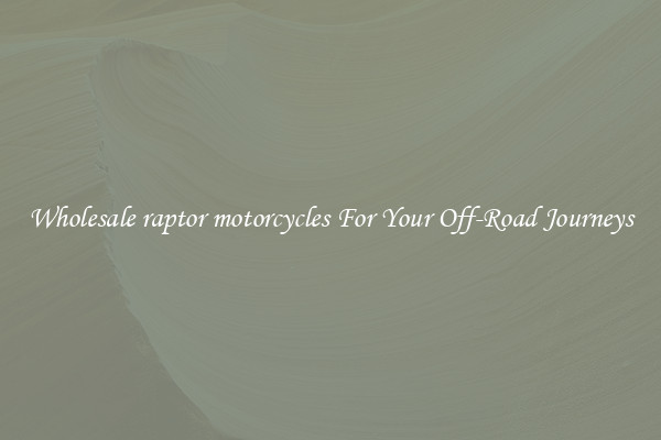 Wholesale raptor motorcycles For Your Off-Road Journeys