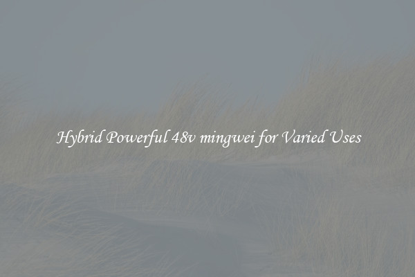 Hybrid Powerful 48v mingwei for Varied Uses