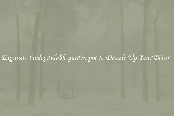 Exquisite biodegradable garden pot to Dazzle Up Your Décor  