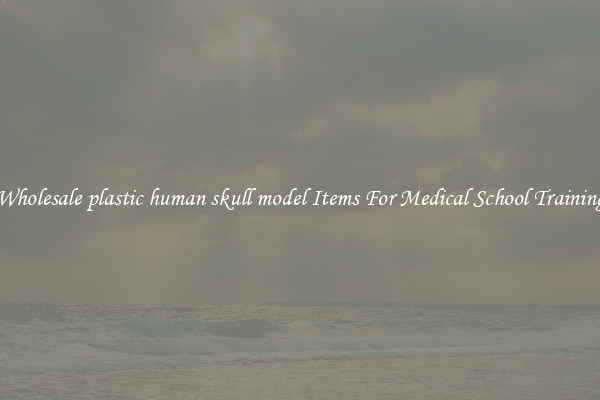 Wholesale plastic human skull model Items For Medical School Training