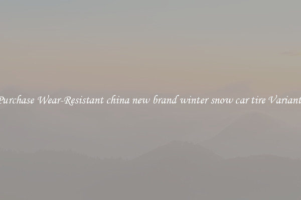 Purchase Wear-Resistant china new brand winter snow car tire Variants
