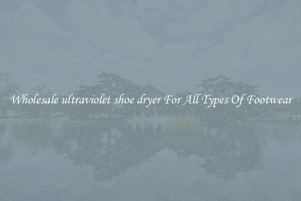 Wholesale ultraviolet shoe dryer For All Types Of Footwear