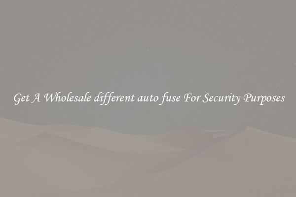 Get A Wholesale different auto fuse For Security Purposes
