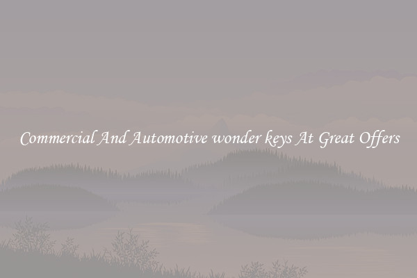 Commercial And Automotive wonder keys At Great Offers