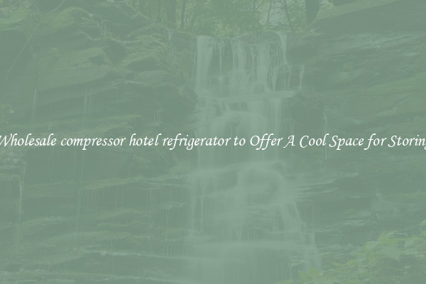 Wholesale compressor hotel refrigerator to Offer A Cool Space for Storing