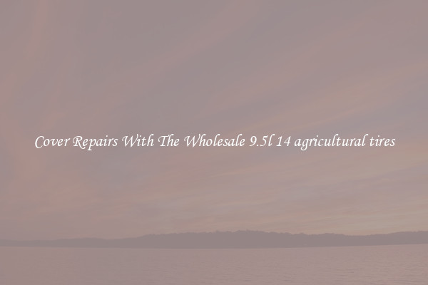 Cover Repairs With The Wholesale 9.5l 14 agricultural tires 