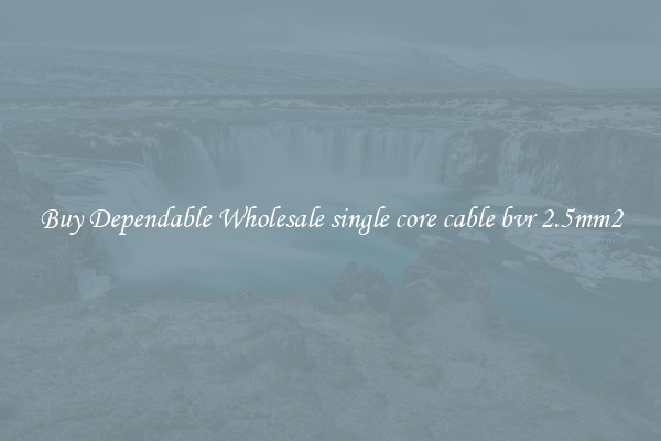 Buy Dependable Wholesale single core cable bvr 2.5mm2
