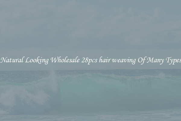 Natural Looking Wholesale 28pcs hair weaving Of Many Types