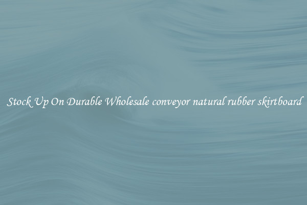 Stock Up On Durable Wholesale conveyor natural rubber skirtboard